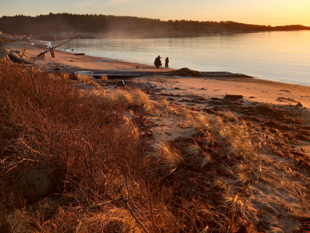 Personer i solnedgång på strand.