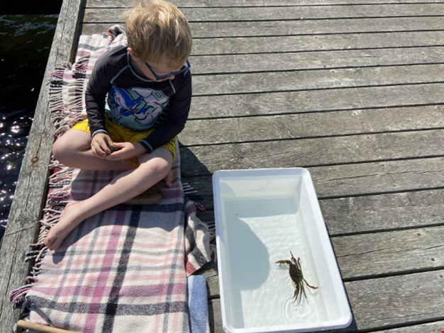 Pojke sitter på en brygga bredvid en krabba.