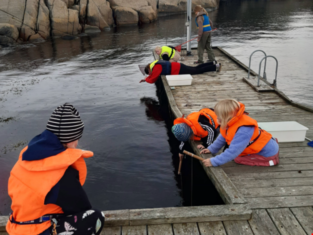 Barn fiskar krabbor vid bryggan.