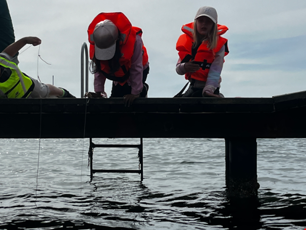 Barn som fiskar krabbor.