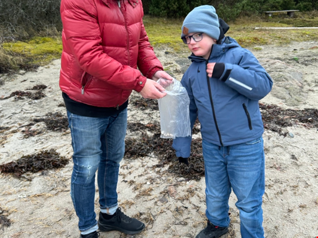 Pojke och personal plockar snäckor på stranden.